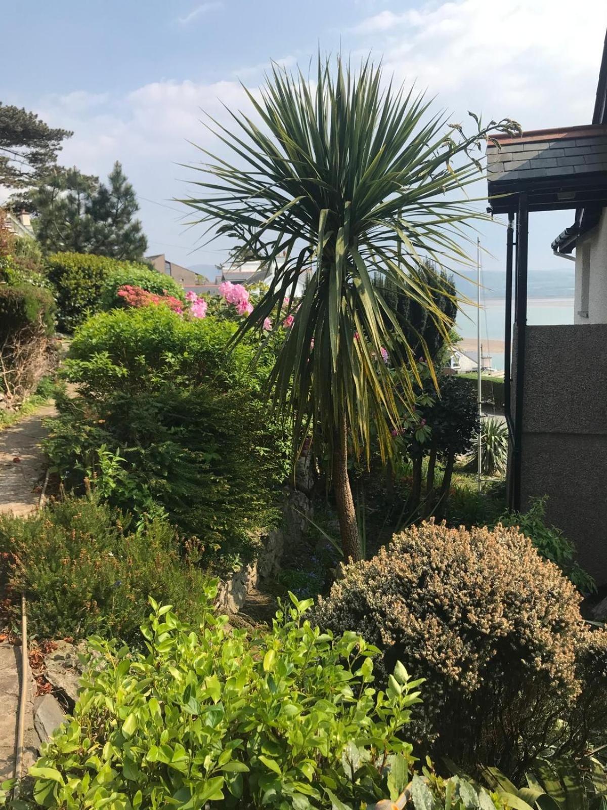 Brig-y-don Aberdyfi